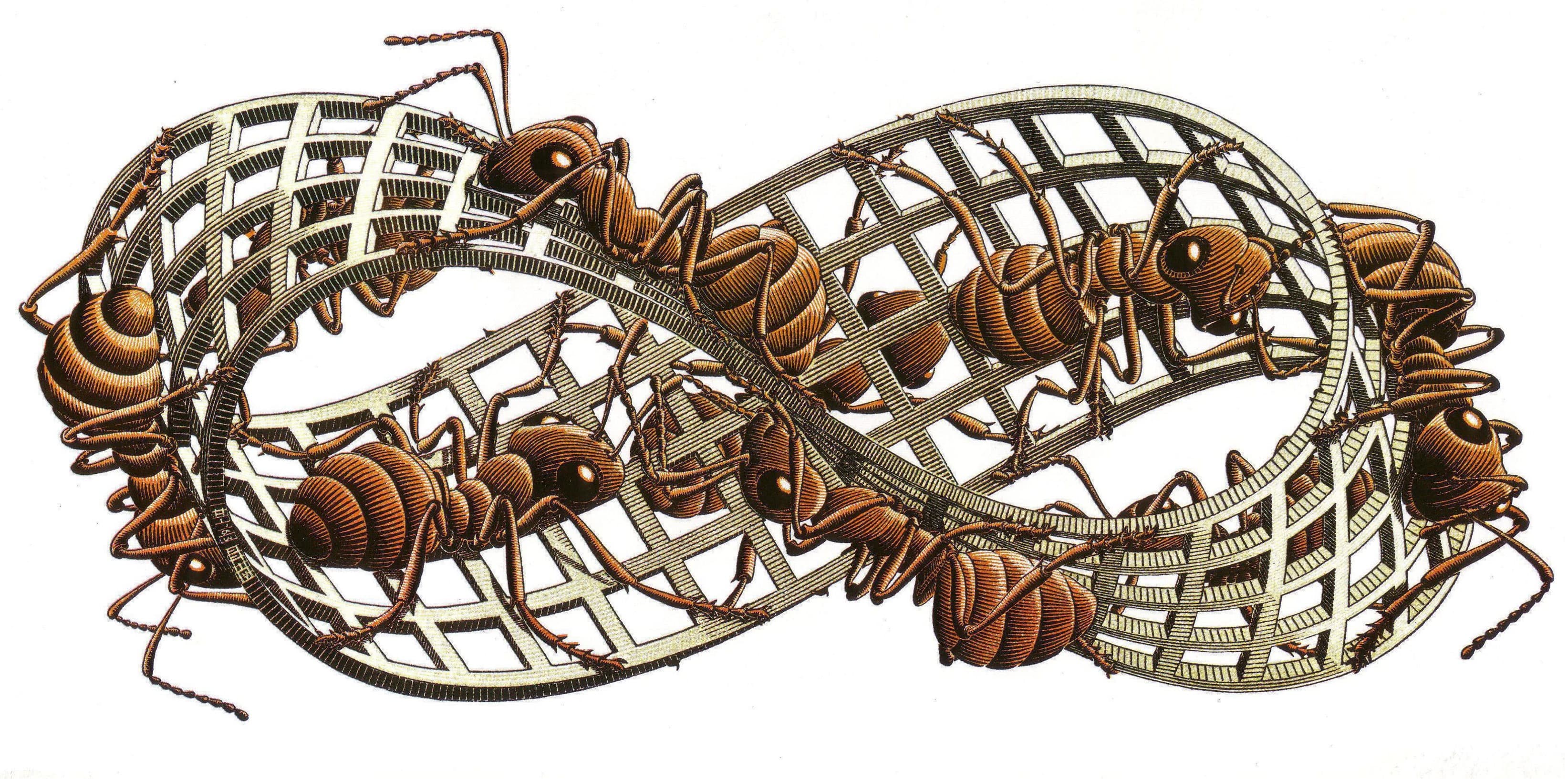 M.C. Escher — Moebius Strip II (1963)